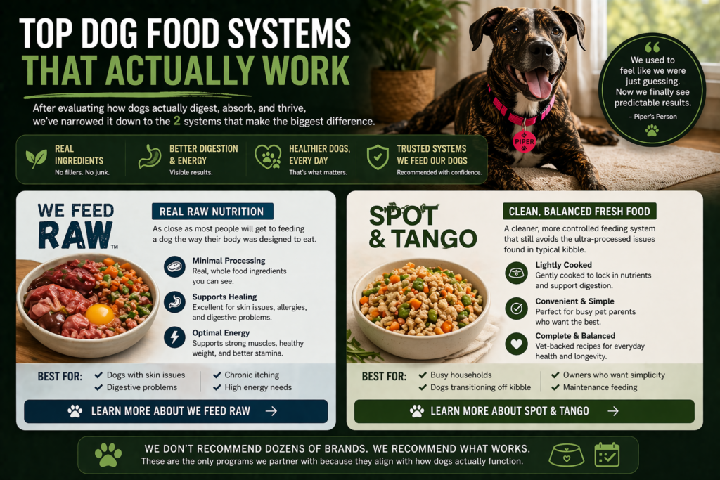 Two dog food systems comparison showing We Feed Raw vs Spot and Tango with benefits for digestion, energy, and overall dog health