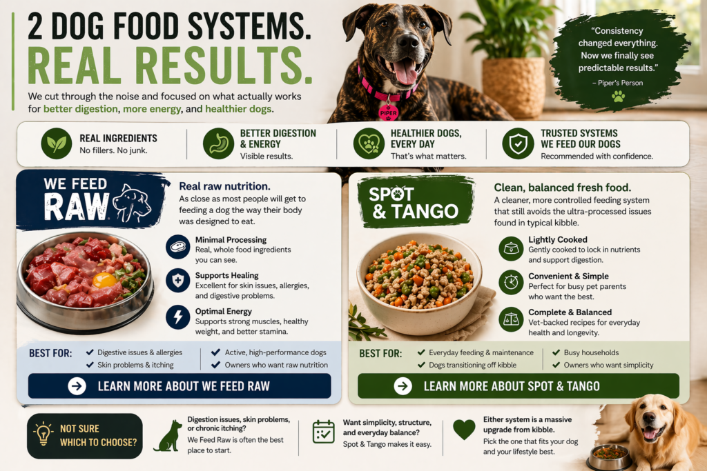 two dog food systems comparison We Feed Raw vs Spot and Tango for digestion energy skin health and consistent feeding routines