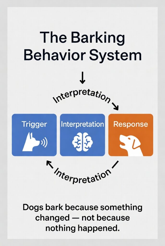 separation anxiety trigger interpretation response behavior system diagram